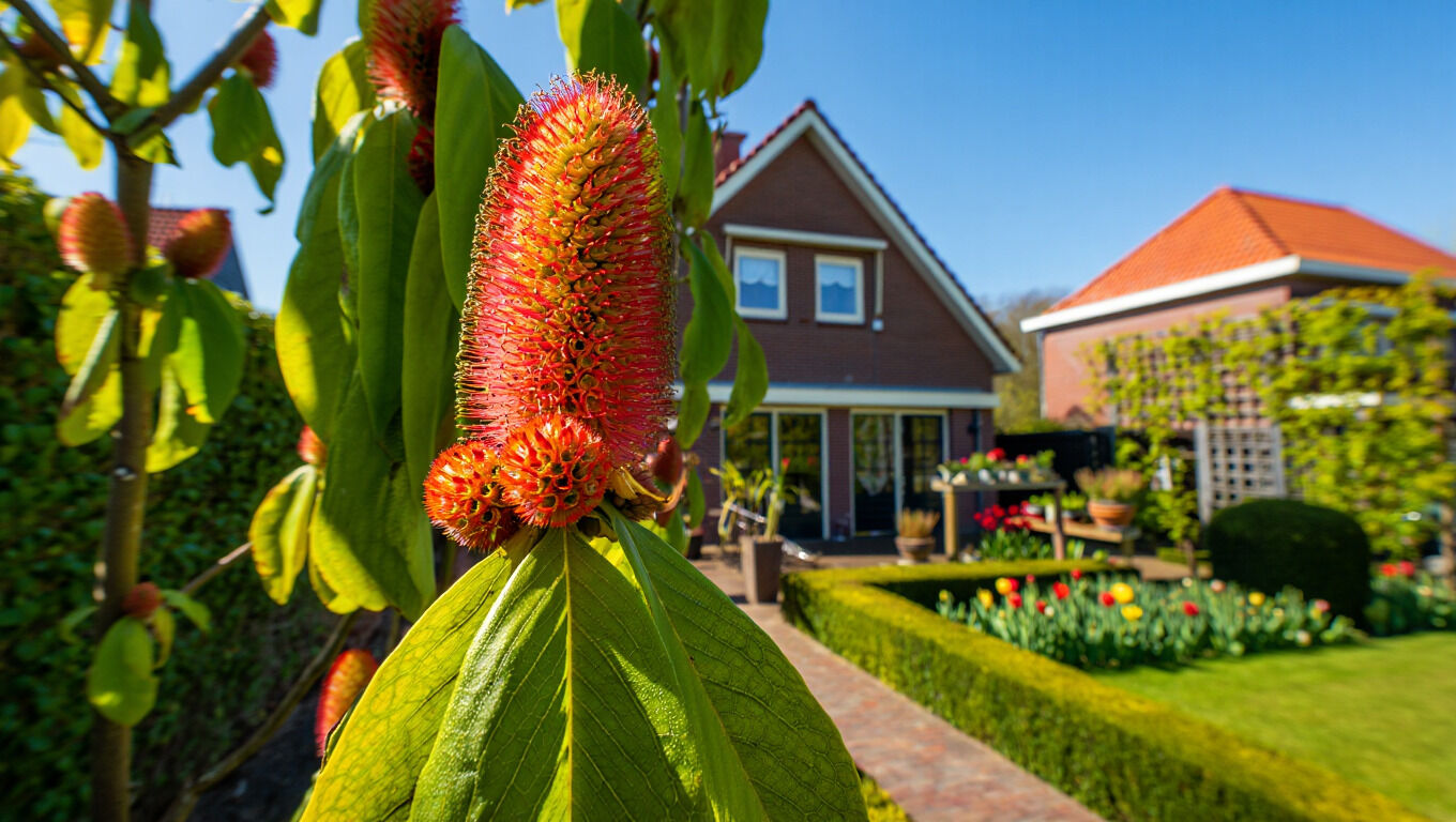 [paste advice page name here]